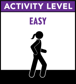 Activity Level Easy