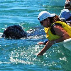 Women with Whale in Baja