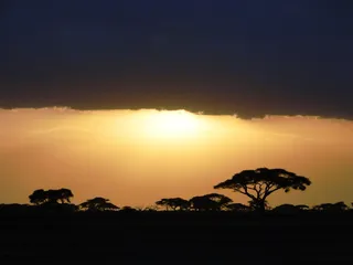 Explore New Horizons