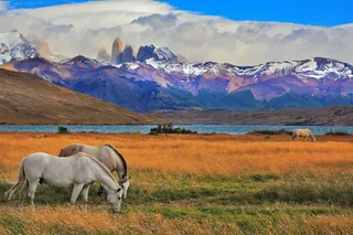 *NEW* Wonders of Patagonia | Oct 2027