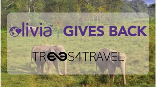 Travel That Gives Back&colon; Olivia&rsquo;s Forest in Nepal
