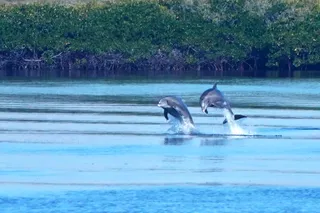 photo credit: Jill Cruse