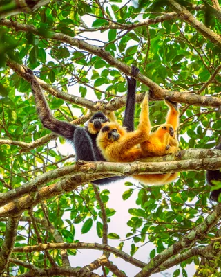 PC: Filip Agoo & Everland