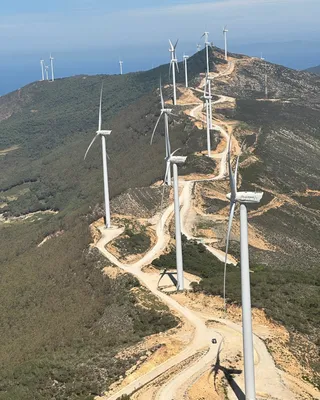 photo credit - Numerco