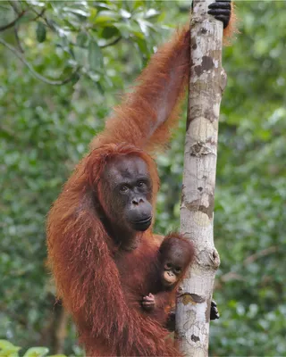 photo credit - Infinite Earth