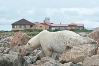 Seal River Heritage Lodge