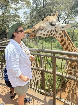 Giraffe kisses...