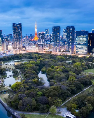 Tokyo