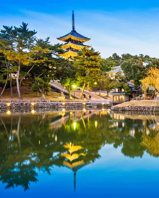 Pre-Cruise Stretcher: Kyoto