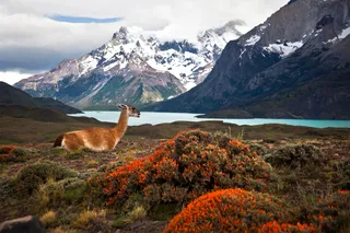An Unforgettable Stay at Tierra Patagonia's All-Inclusive Hotel