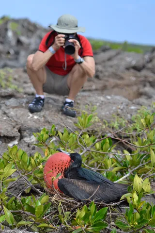 Explore the Unmatched Nature and Wildlife of the Galápagos Islands