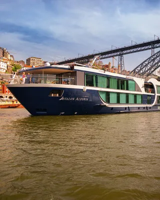 Your Ship: Avalon Alegria