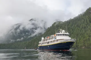 Your Ship: National Geographic Sea Lion