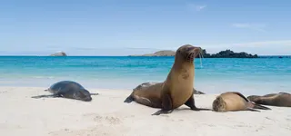 2026 Galapagos Adventure Cruise
