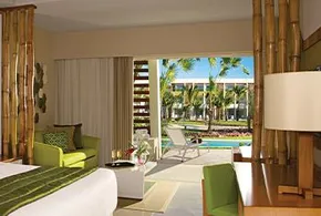 Preferred Club Junior Suite Swim Up - Double
