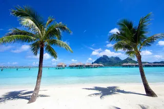 2026 Tahiti Luxury Cruise