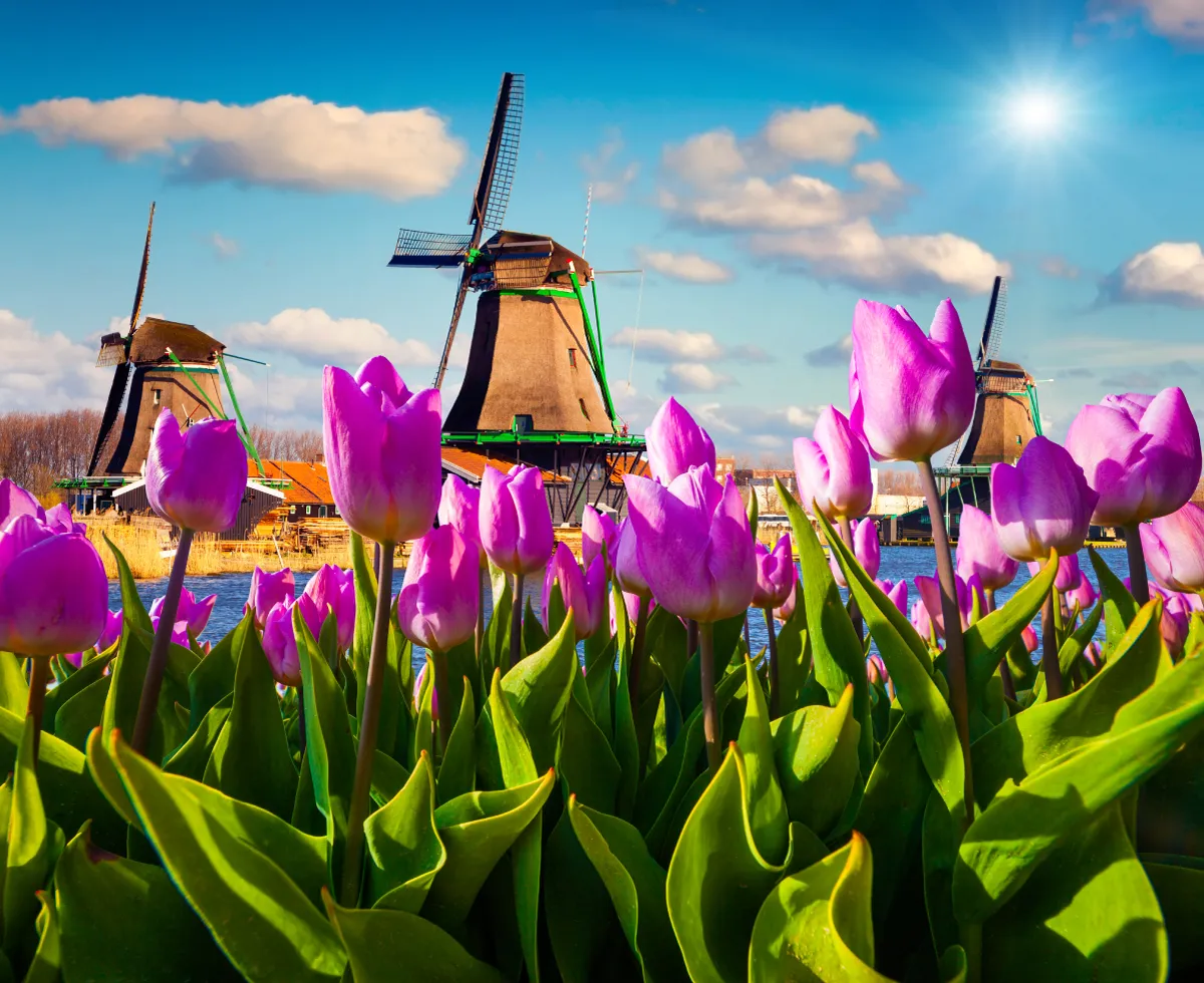 Olivia Rhine River Cruise (Women)