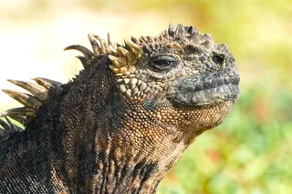 2027 Galapagos Adventure Cruise